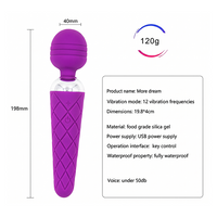 Vibrator Wand Adult Toys