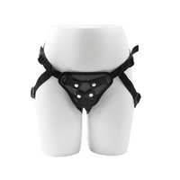 Strap-on Harness or Chastity device