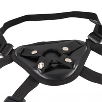 Strap-on Harness or Chastity device