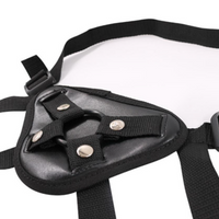 Strap-on Harness or Chastity device